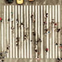 ClariVest Asset Management