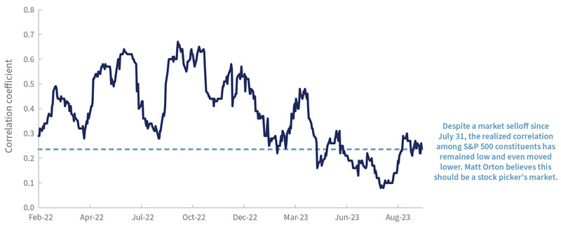 Low correlations between stocks suggest investors are not panicked about the entire market