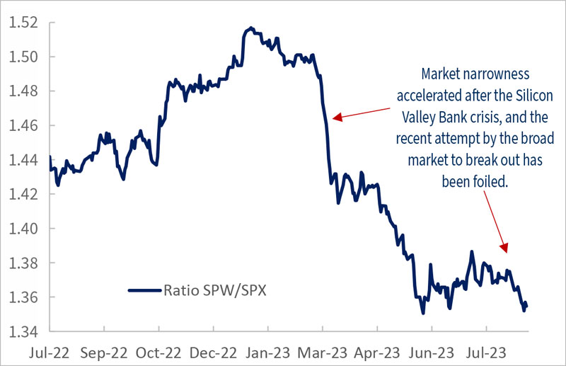 What is wrong with the market of stocks?