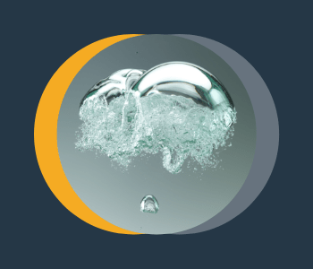 Bubbles and stonks